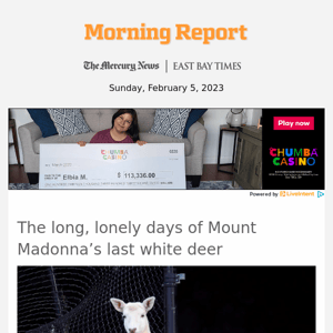 The long, lonely days of Mount Madonna’s last white deer