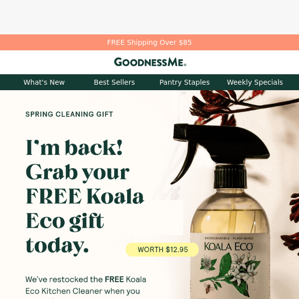 I'M BACK: Free Koala Eco Cleaner
