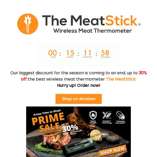 The MeatStick Mini Stick Wireless Meat Thermometer with App - Green