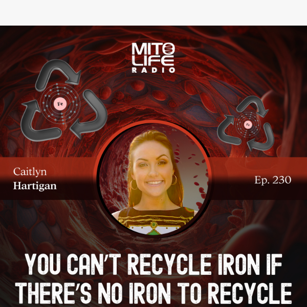 You Cant't Recycle Iron if There is No Iron to Recycle