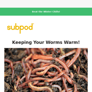 Getting Your Worms Through the Winter