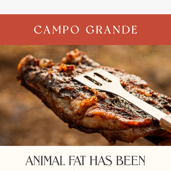 The truth about animal FATS 😮🥩