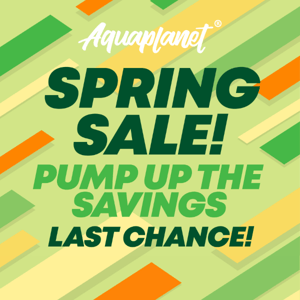 Time's Ticking 🕒! Don't Miss Our Spring Sale