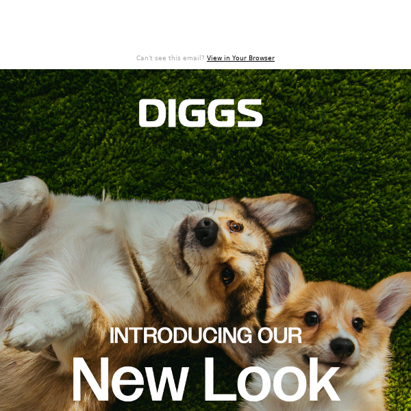 We sniffed around and found a new look!