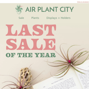 Last sale of the year happening now!