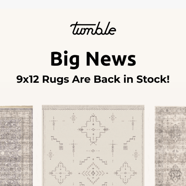 Our 9x12 Rugs Are Back in Stock!