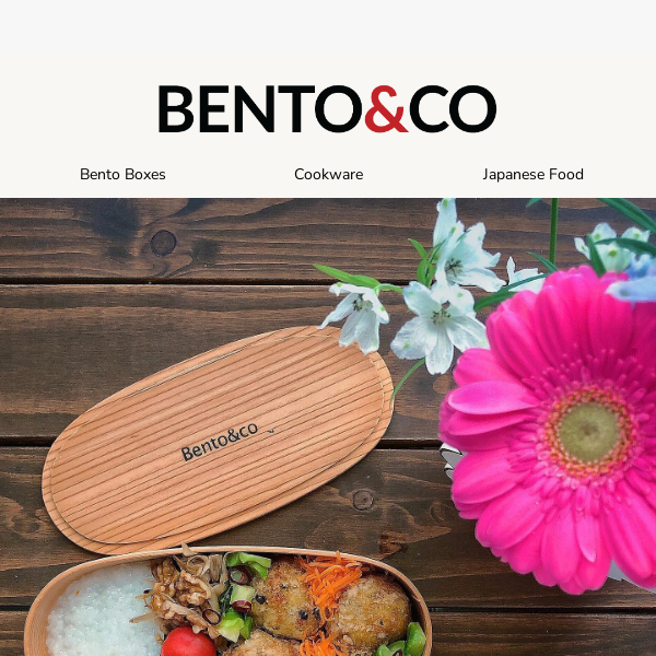 Discover Magewappa with a Bento Pro 🍱