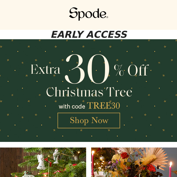 EARLY ACCESS: Christmas Tree Clearance