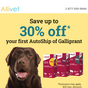 Does Your Pet Take Galliprant?