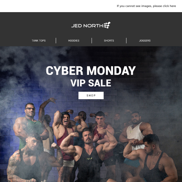 VIP Access: Exclusive Cyber Monday Savings
