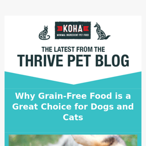 Why Grain-Free is a Great Choice for Your Pet