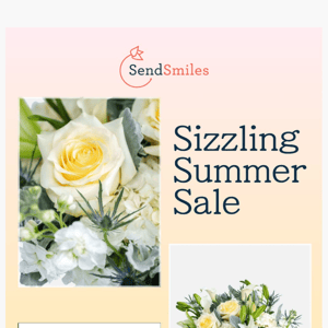 The Summer Sale is Here!