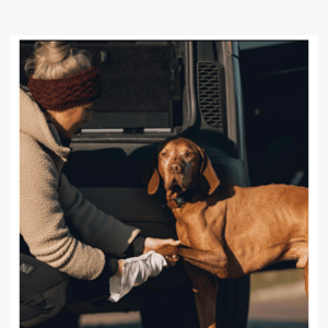 How to use Digby's famous cleaning mitts 🐶