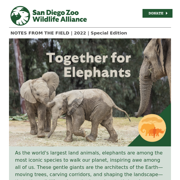 20 Off San Diego Zoo COUPON CODES → (1 ACTIVE) Sep 2022