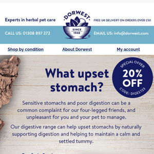 What upset stomach? 20% off our digestive range 💩