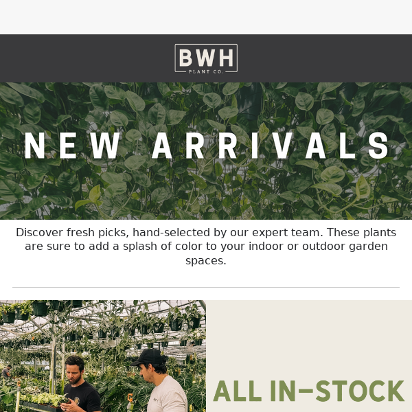 Treat yourself to some #BWHPlantMail 📦🌿