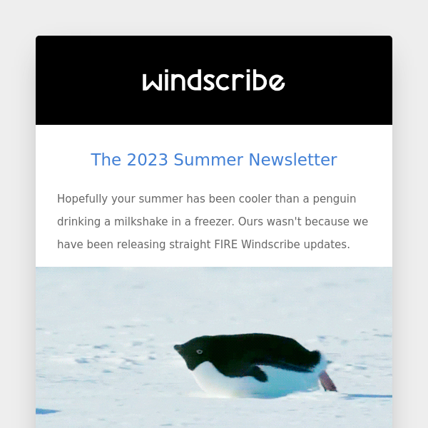 Summer Updates From Windscribe