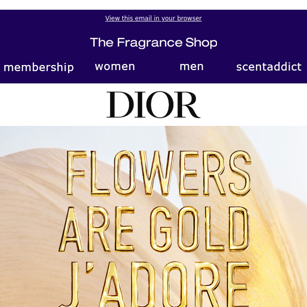 Discover the New Dior Perfume The Fragrance Shop