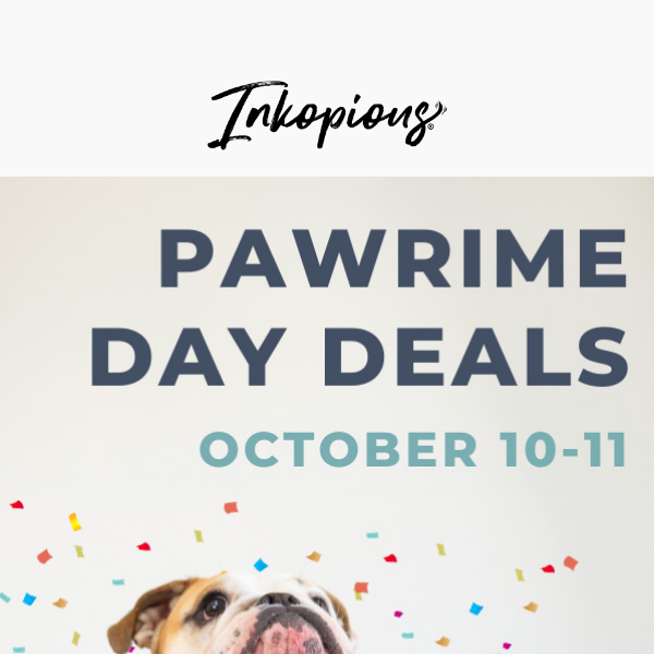 🐾 Pawrime Day: 25% Off - October 10-11 Only!