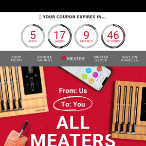 VIP Exclusive: Get Your Grill On With 20% Off MEATER 🤑