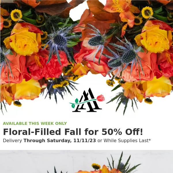 🍂 Fall Flowers for 50% Off - While Supplies Last🍂