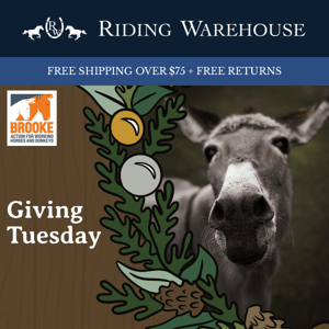 Giving Tuesday: 5% of Your Order Supports Working Donkeys and Equines