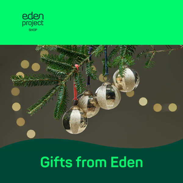 Christmas gift inspirations from Eden 🎅