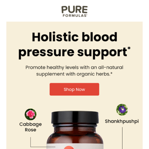 Holistic blood pressure formula