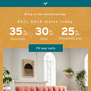 Save Up to 35% for Fall! 🍂