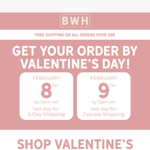 Get your order by Valentine's Day❣️