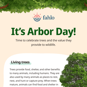 It's Arbor Day! 🍃