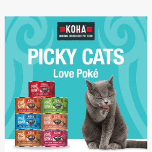 20% Off Tuna Poké Bowl Cans for Cats