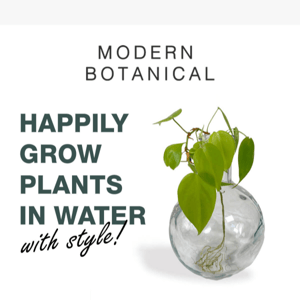 Happily grow your plants in water with style!