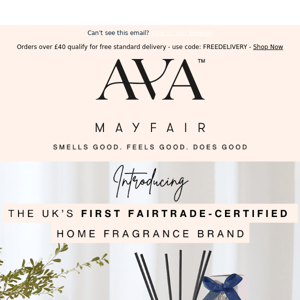 Introducing Ava Mayfair... 🥥 🌴