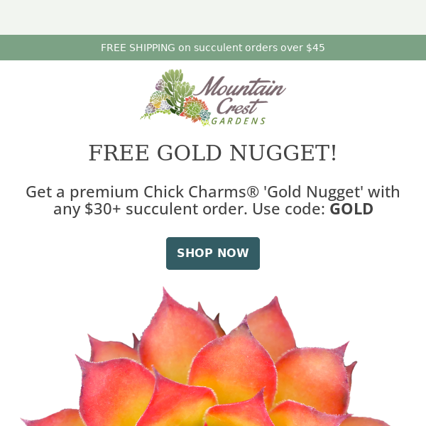 FREE Gold Nugget! 🌵