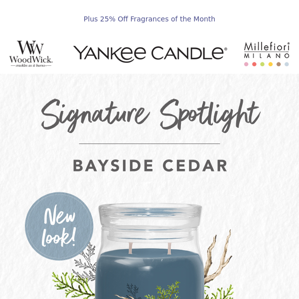 A Spotlight on Bayside Cedar