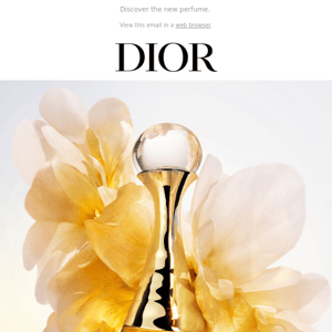 INTRODUCING: J’adore l’Or