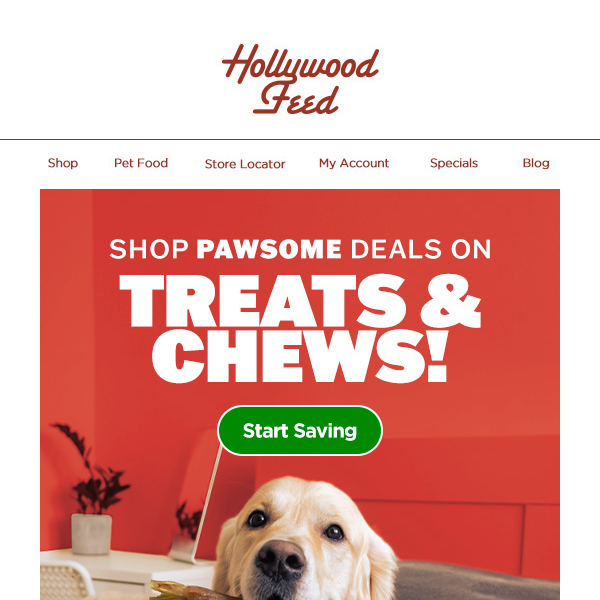 Shop ✨ Pawsome ✨ Deals on Treats & Chews!