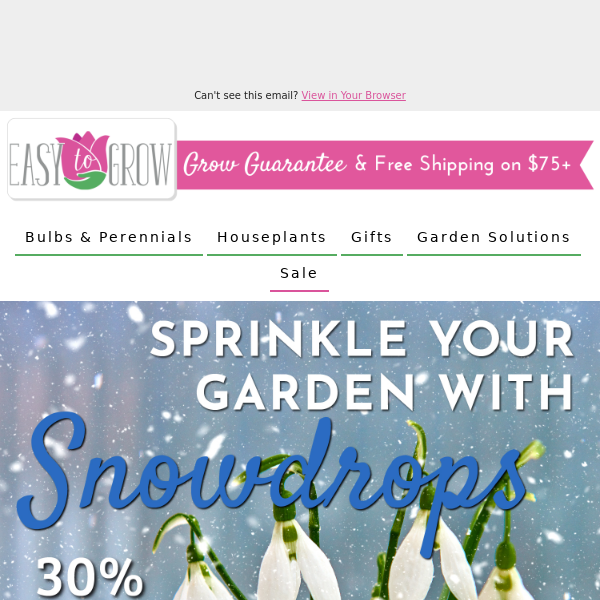 Ready For Snow? ❄️ Snowdrop Sale ❄️ 30% Off