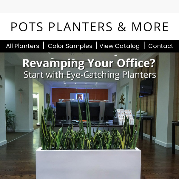 Revamping Your Office? Start with Eye-Catching Planters