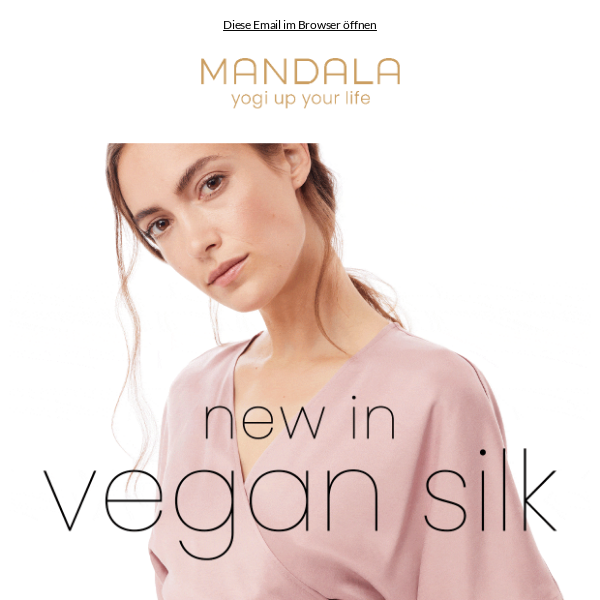 Introducing: Vegan Silk ✨