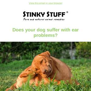 Does your dog suffer with their ears?