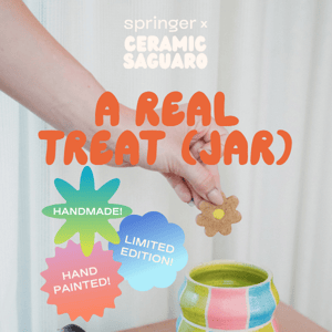 Meet our NEW Treat Jar 🌼
