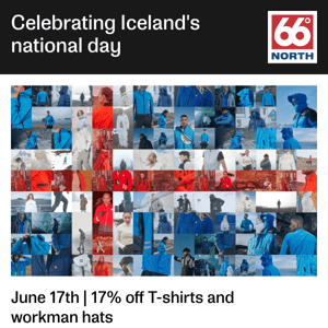 Celebrating Iceland's National Day | 17% off T-shirts & workman hats