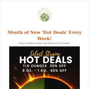 Hot Deals, Starting this Week! 🔥