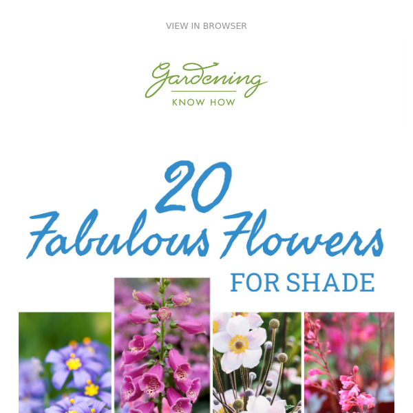 Fabulous Flowers For Shade + Harvest Veggies The Right Way + Best Herbs For Cocktails 
