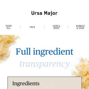 Become an ingredient expert 🔎