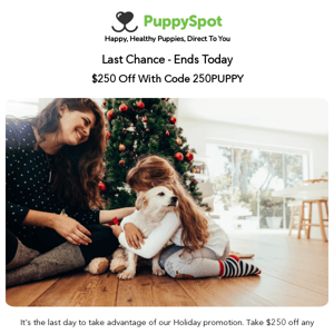 Absolute Last Day To Save $250 With Code 250PUPPY