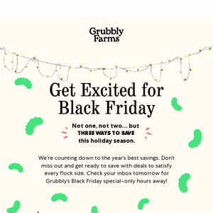 🕛 Counting Down to Grubbly’s Black Friday