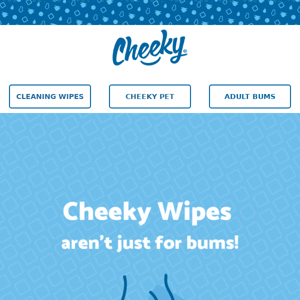 Think Cheeky Wipes are only for parents?  Nope! They can do SO much more...